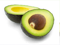 exporters of avocado