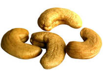fresh Cashew Nuts