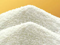 exporter Desiccated Coconut
